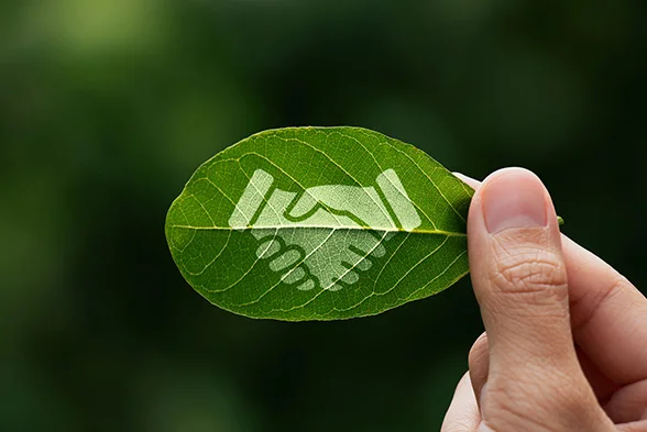 Zwei Hände schütteln sich (symbolisch auf einem grünen Blatt)