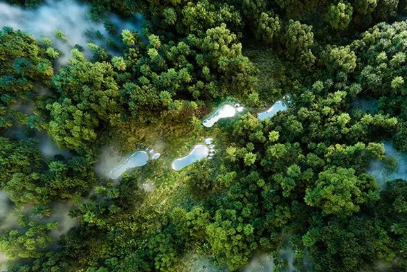 Weiße Fußstapfen in einem Urwald symbolisieren den ökologischen Fußabdruck